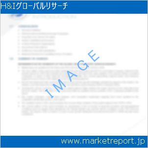 市場と産業調査レポートのイメージ